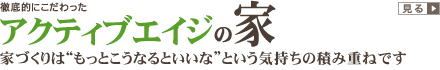 �O��I�ɂ���������A�N�e�B�u�G�C�W�̉�